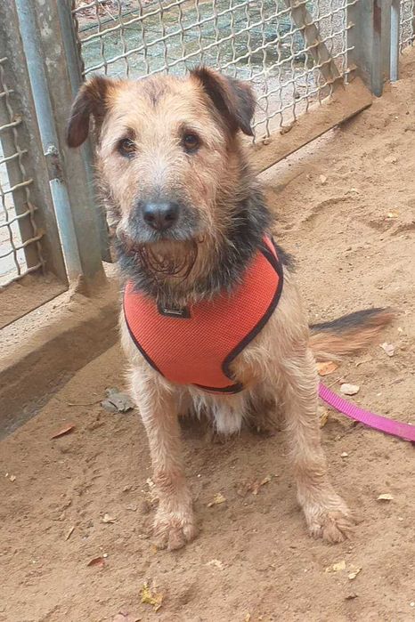 Terry czeka na szansę od życia, na własną rodzinę