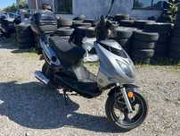 Rex CB Imola 125cm