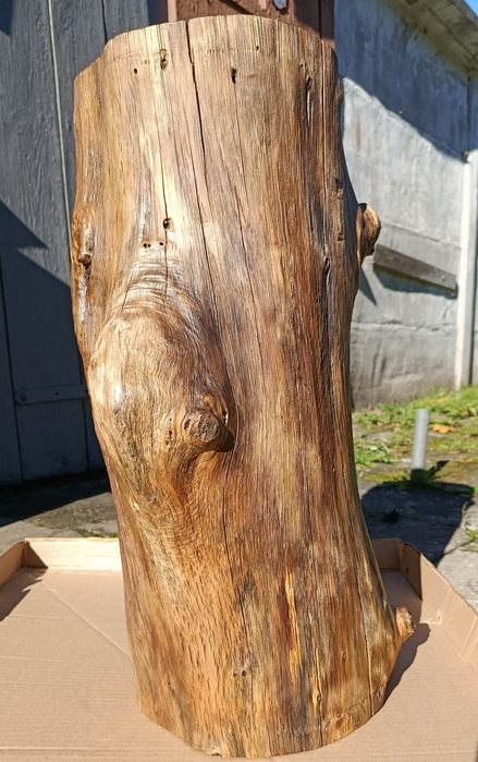 Pień Stolik ozdobny Dąb organiczny