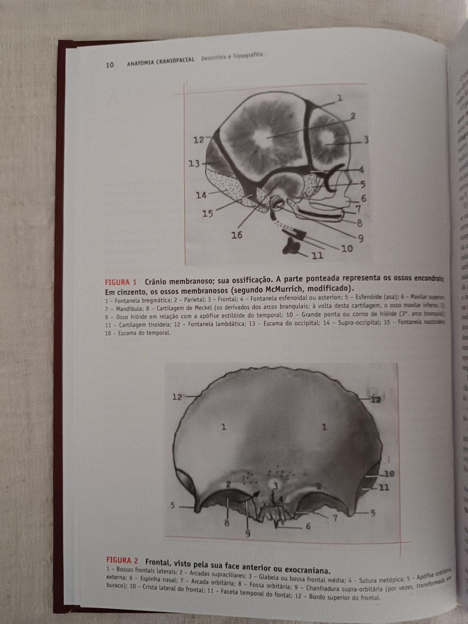 Livro "Anatomia Craniofacial, Descritiva e Topográfica"