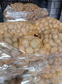 Ziemniak odmiany Jurek