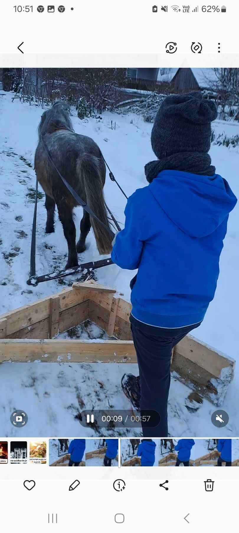 Kucyk ogierek 6lat