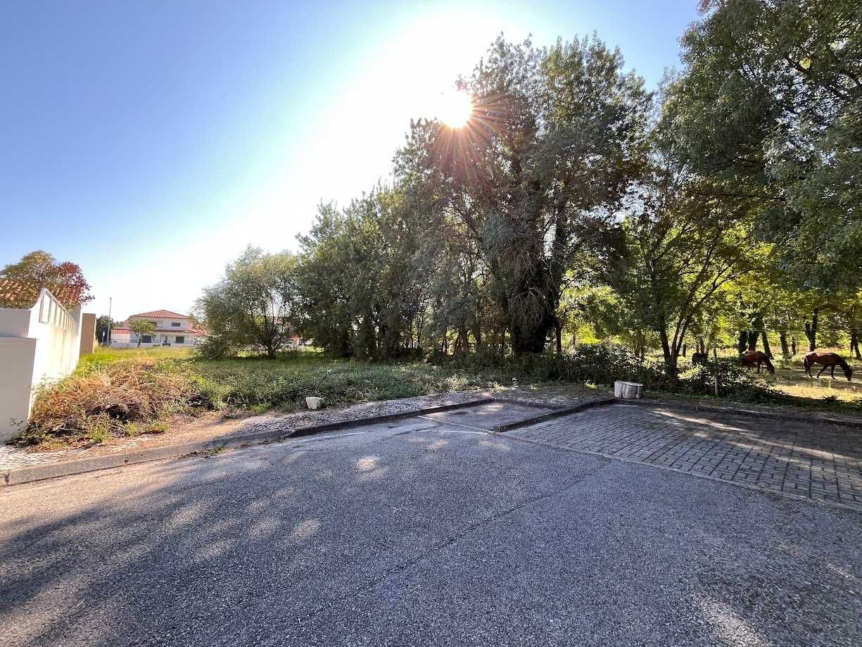 Terreno na Urbanização da Quinta dos Lacticínios - 709 m2