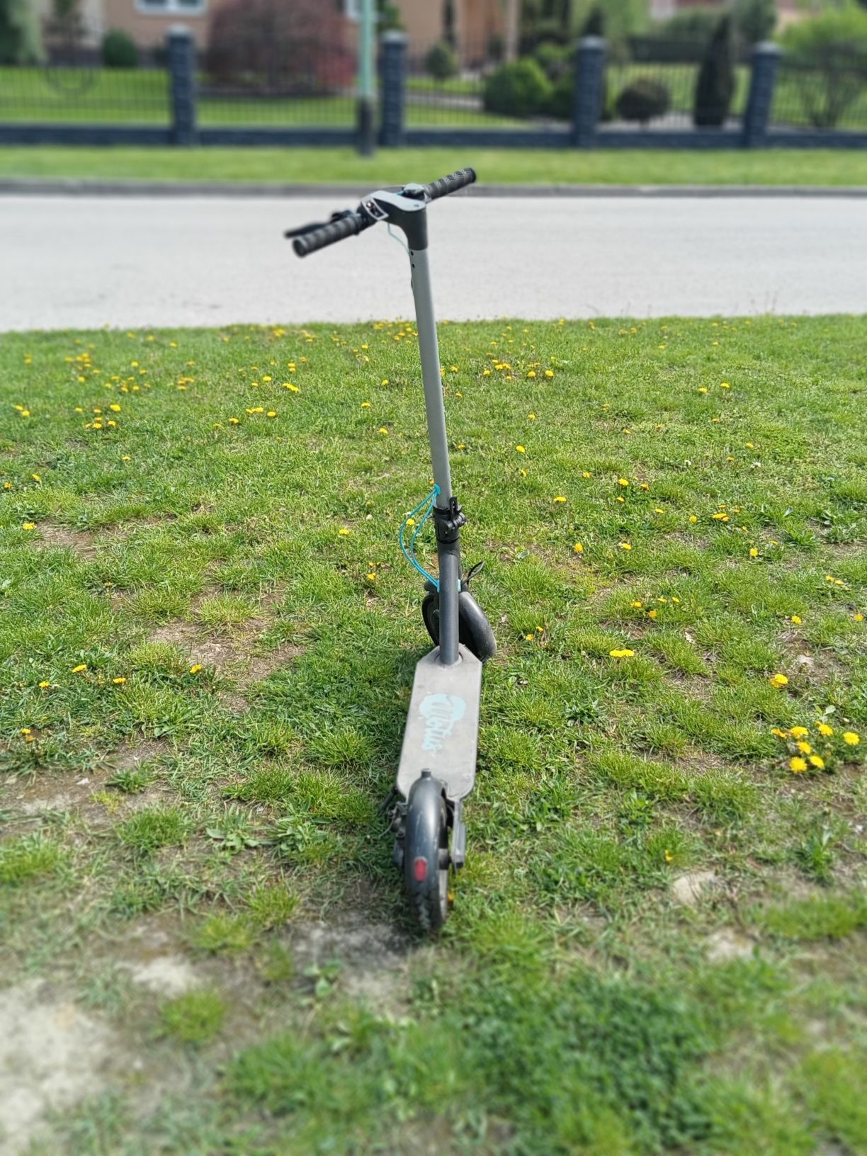 Motus Scooty 10 Lite – hulajnoga elektryczna | szaro-niebieska | 350W