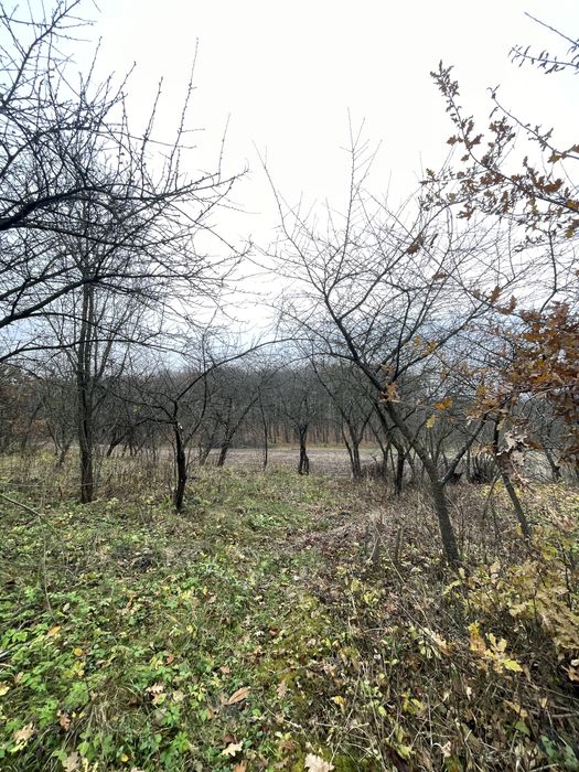 ПРОДАЖ приватного будинку с. Чорний ліс