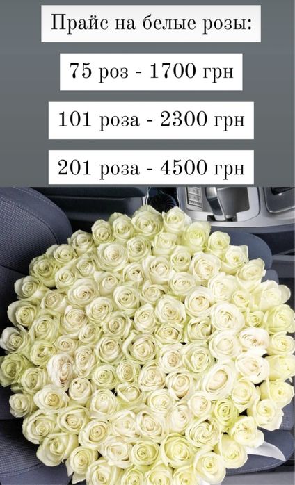 Продам цветы Розы !!!