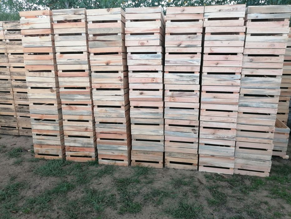 Platony, uniwersalki, solidne skrzynki