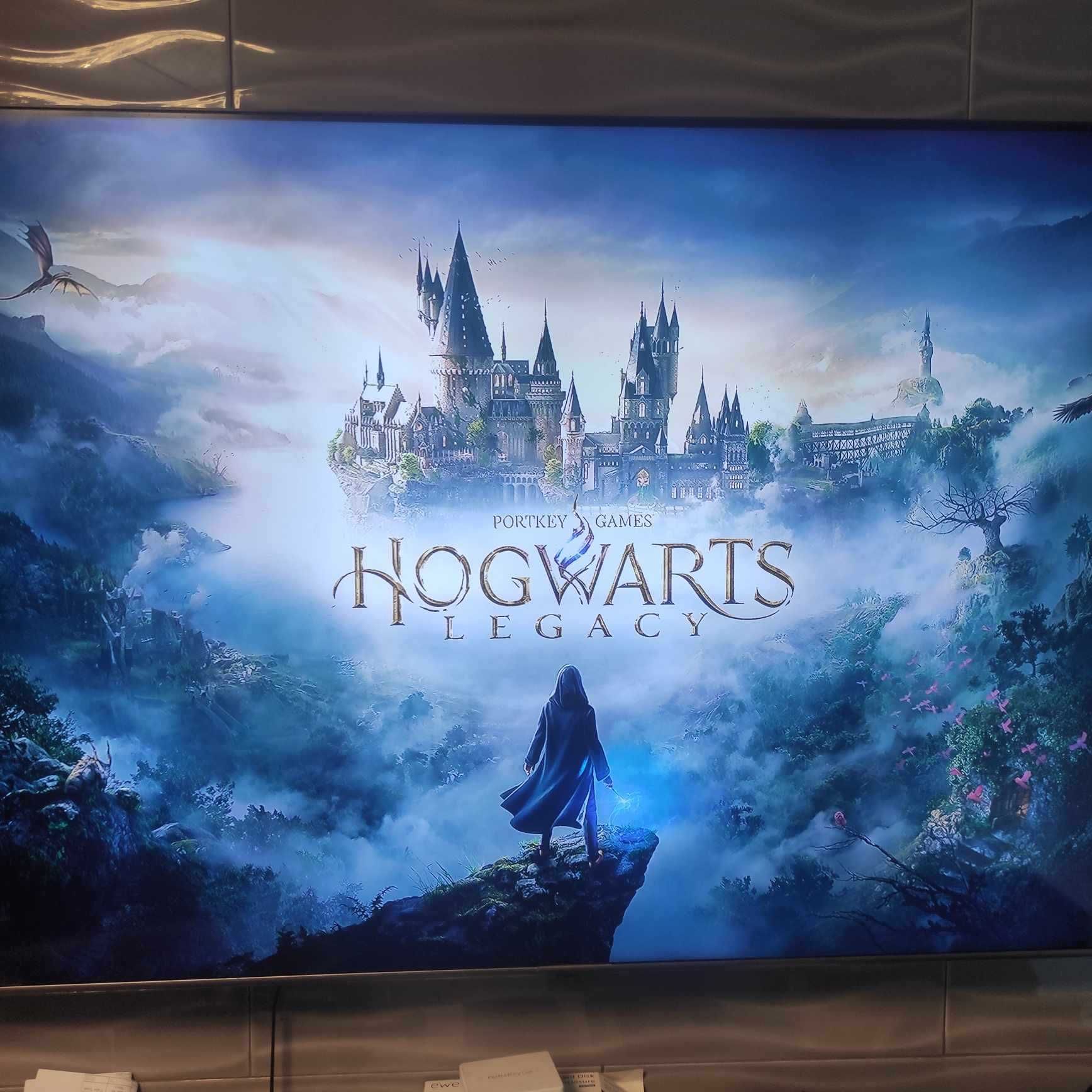 Ps4 slim versao 9.00 com comando