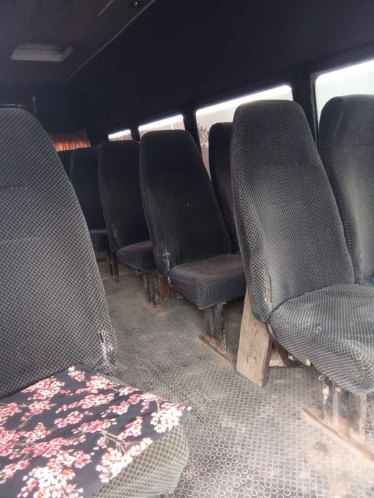 Автобусы iveco daily