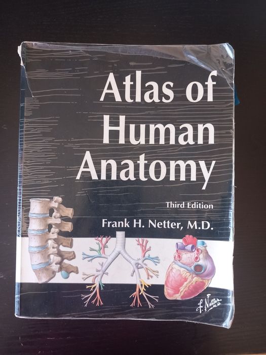 Atlas de anatomia