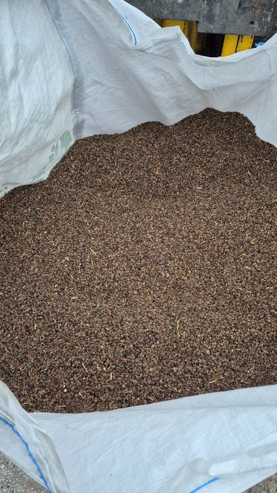 Witam sprzedam gryka