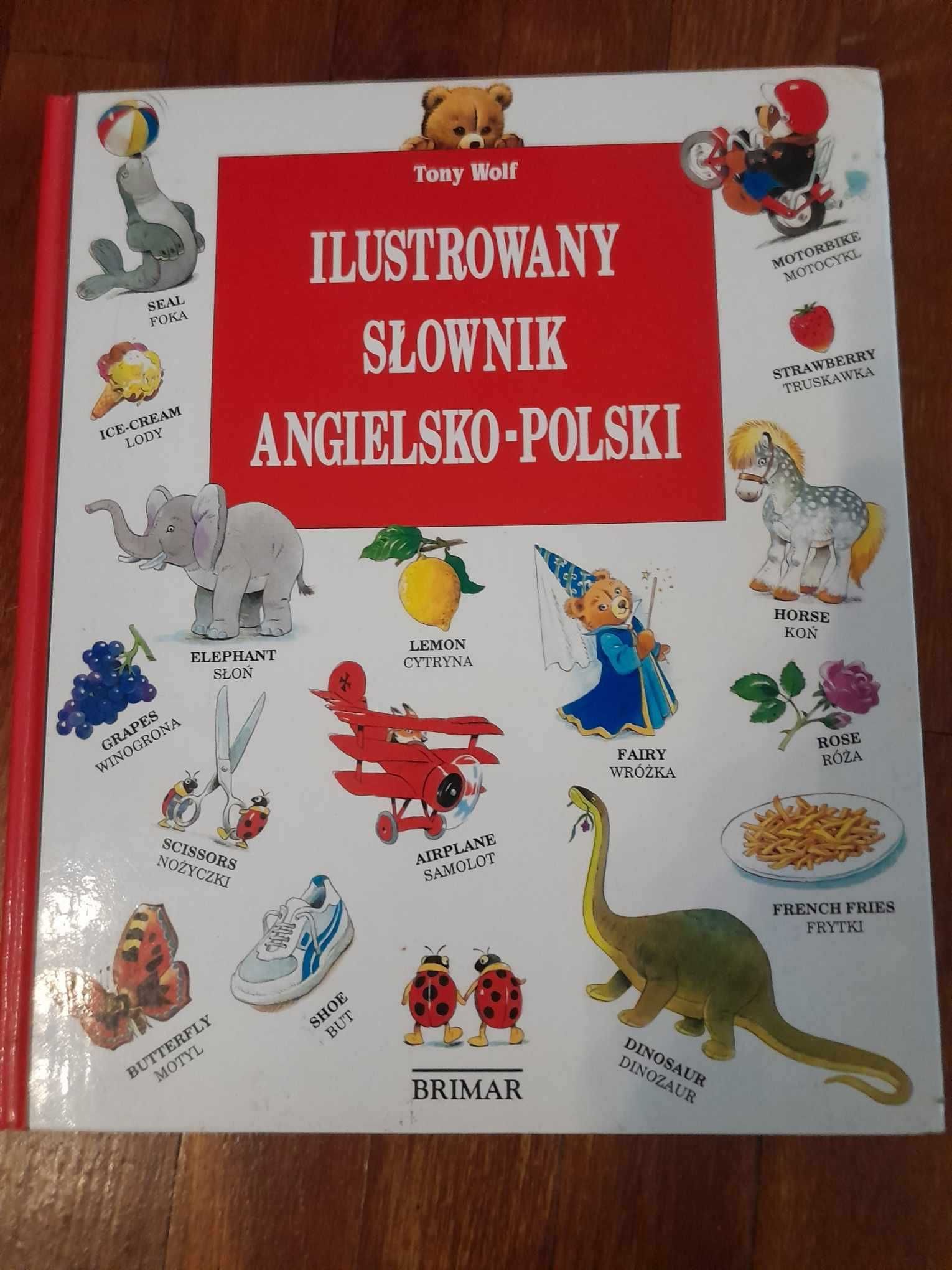 Słownik angielski i encyklopedia kubuś puchatek zestaw edukacyjny