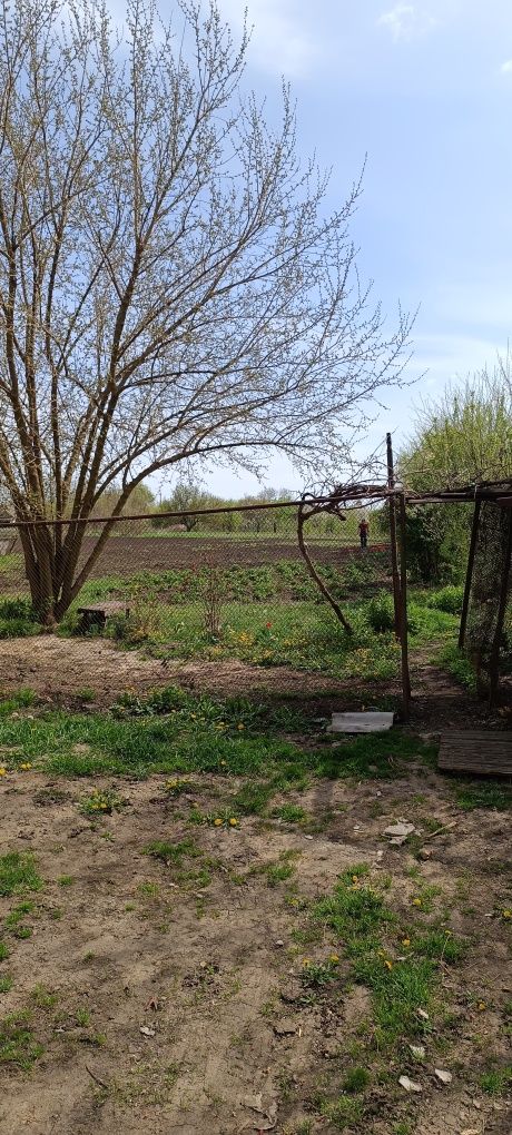 Продам будинок в смт Новомиколаївка