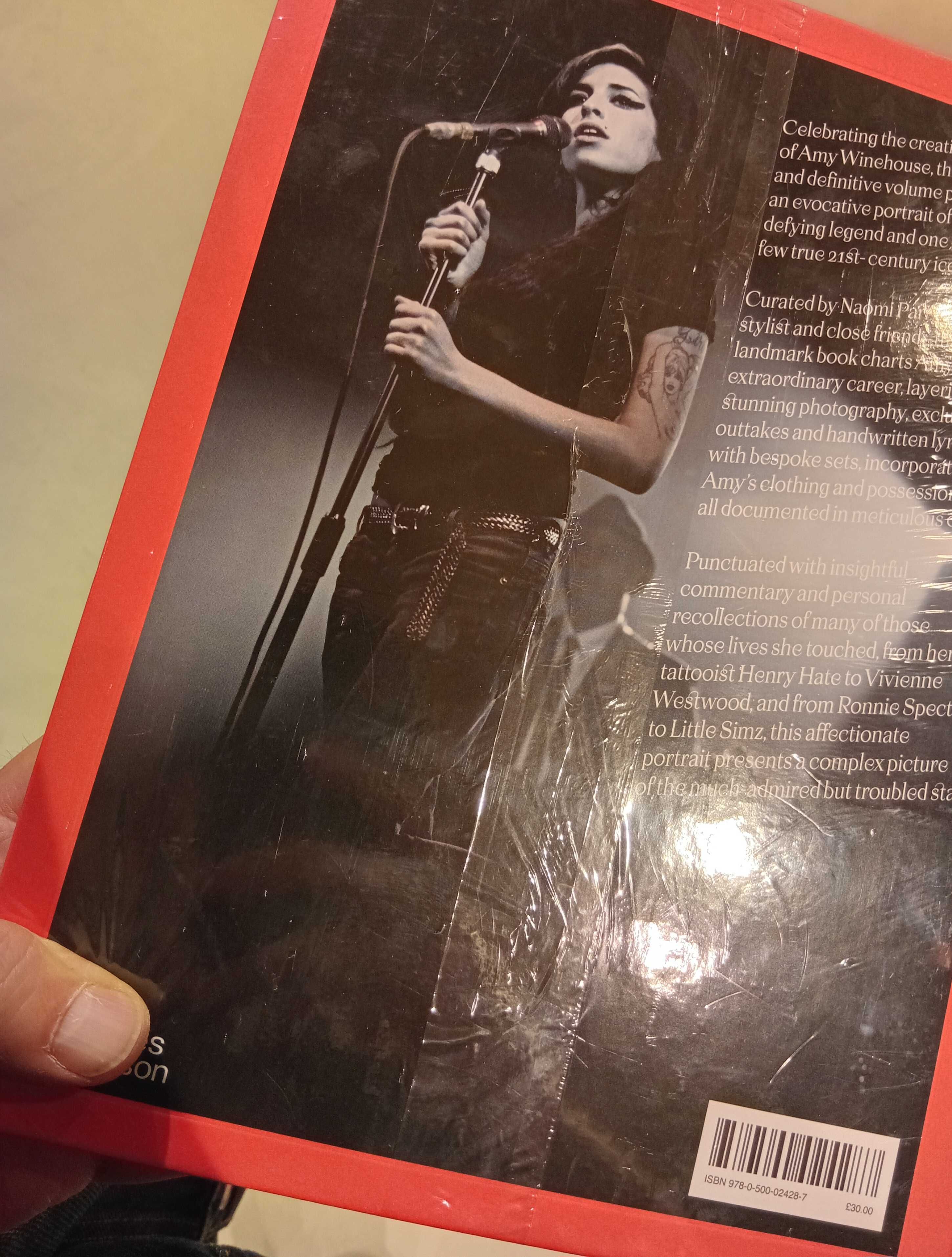 Livro ilustrado Amy Winehouse
