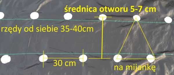50m x 110cm Agrotkanina na chwasty OTWORAMI pod TRUSKAWKI ogórki itp