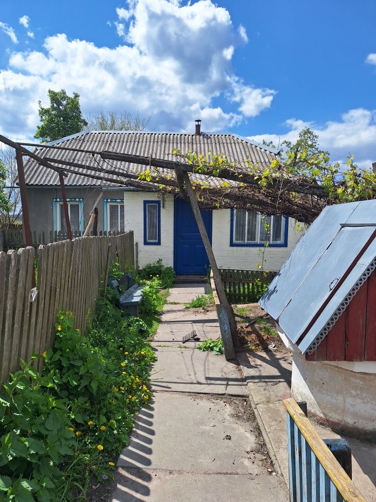 Плесецьке.  Продам будинок вул. Покровська