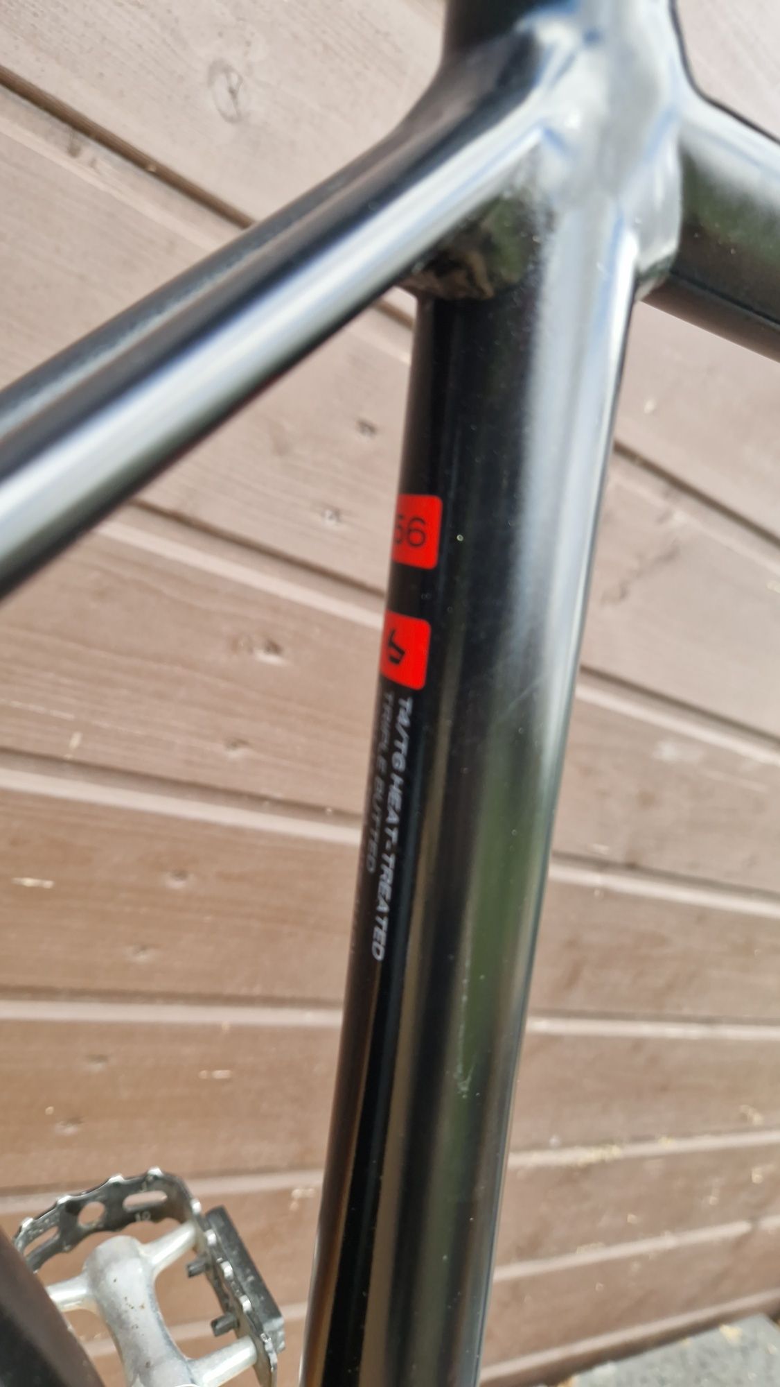 Rower miejski bergamot MGN pasek karbon alfaline 11