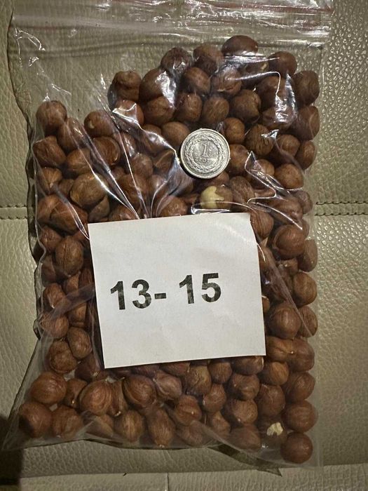 Orzechy laskowe premium z Gruzji – zbiór 2024, tylko hurt!