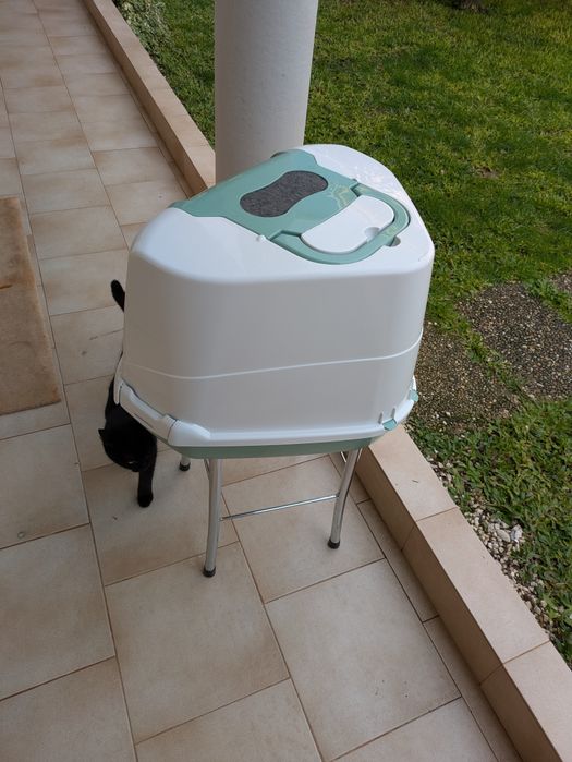 WC gato em ótimo estado