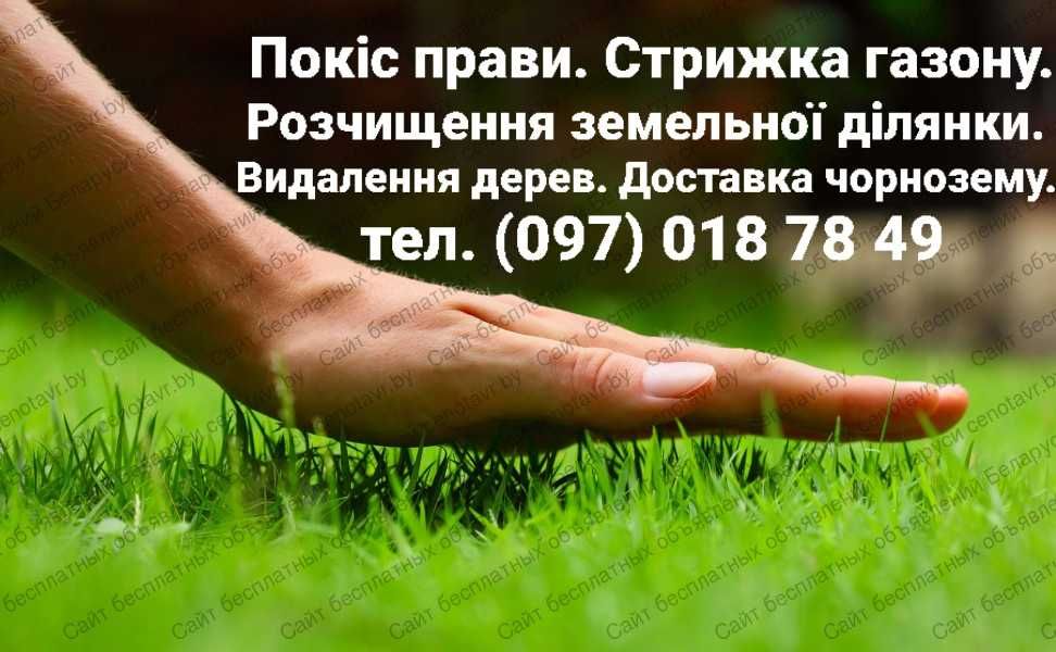 Покіс трави. Стрижка газону