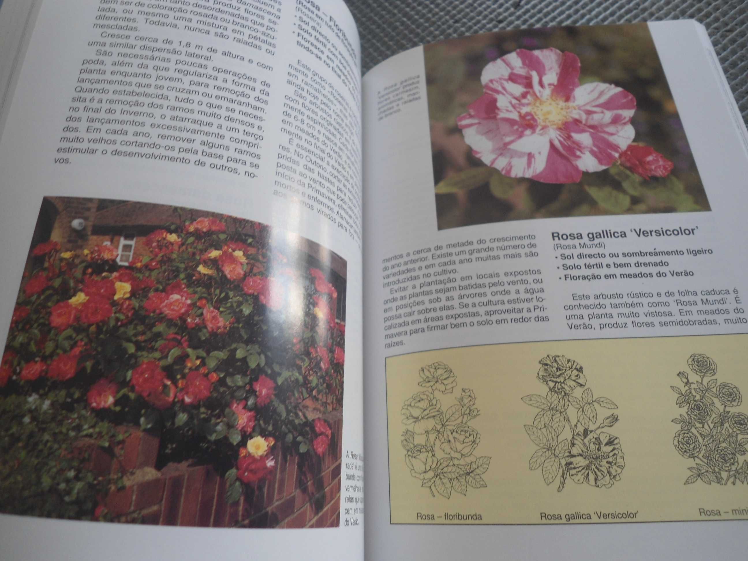 Plantas de Jardim (2 volumes) por David Squire