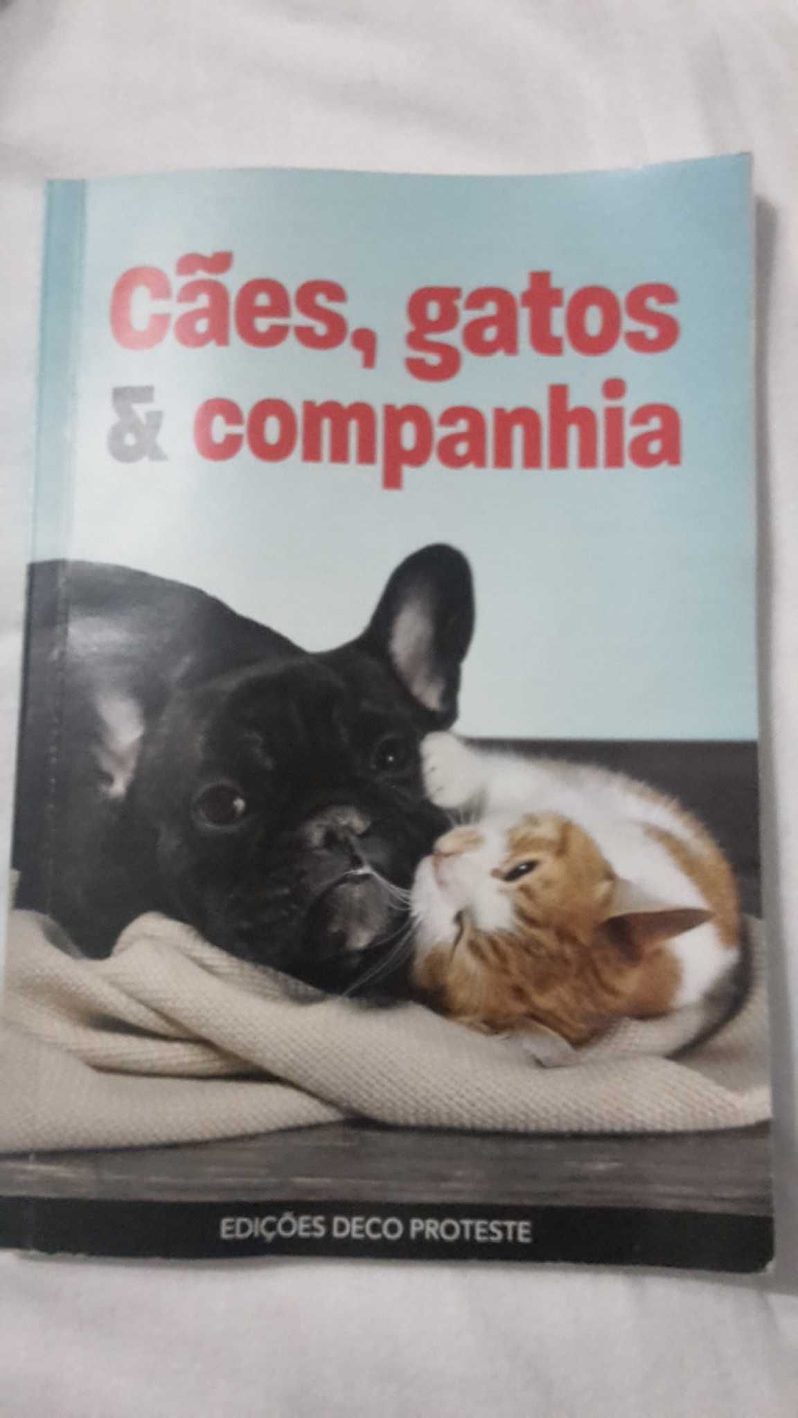 CAES GATOS E OUTRAS Companhias. Conselhos 192 Pag. 6 Fotos