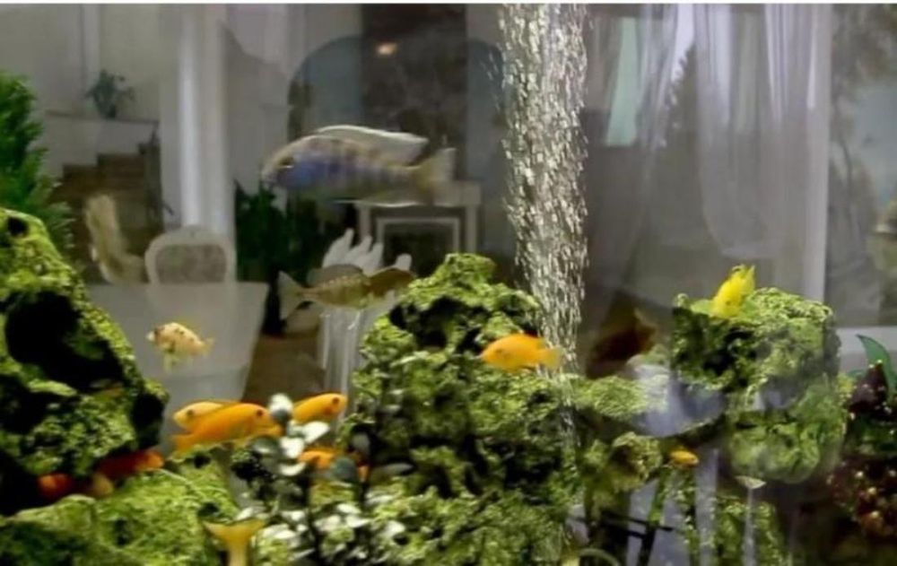 Продам дом в Совиньоне (SH-169-512)