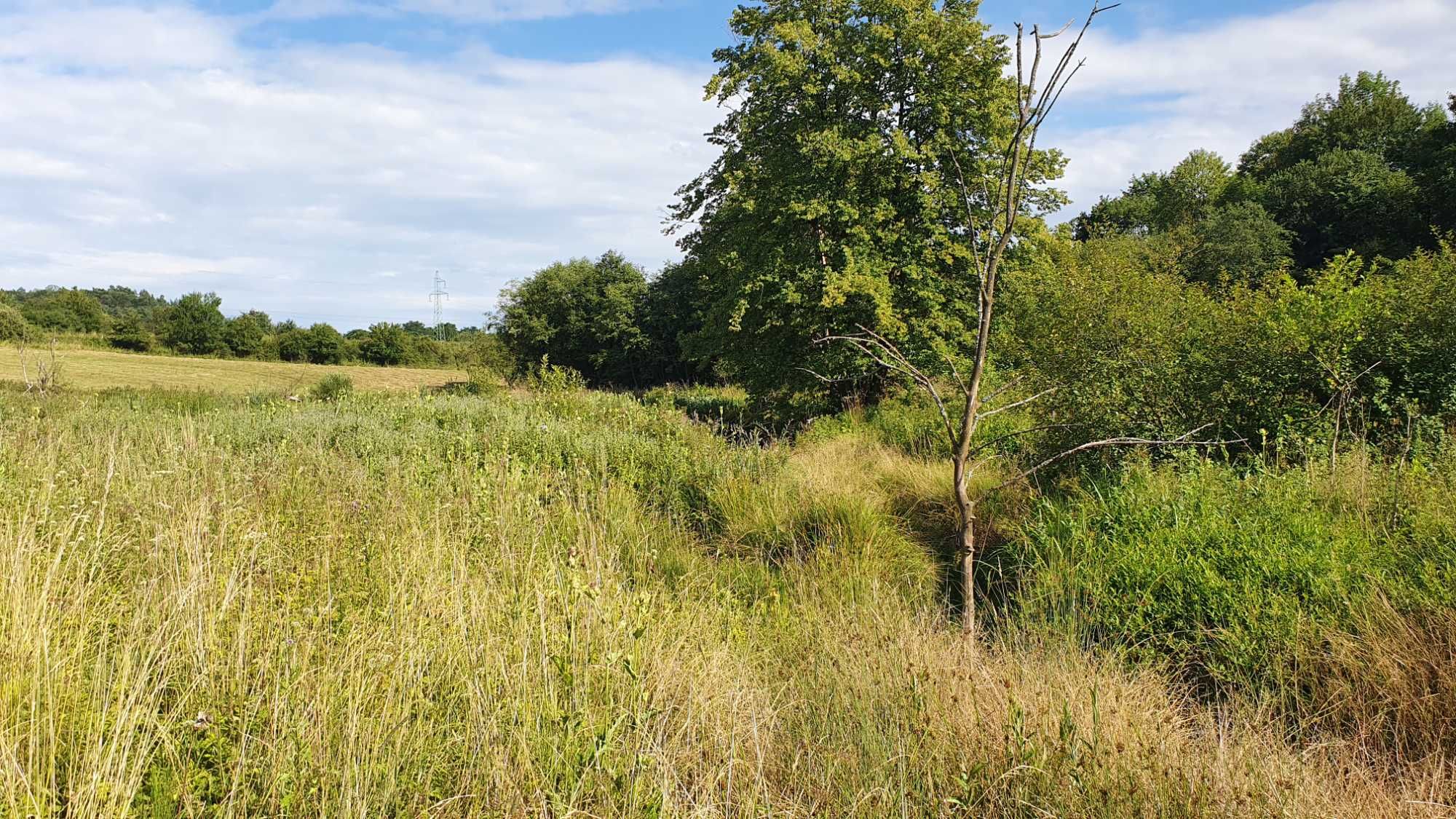 PIĘKNA Działka Rekreacyjna Rolna BIESZCZADY Ustjanowa Dolna 2,7 HA