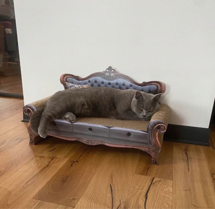 Drapak kartonowy sofa dla kota 2w1 legowisko i drapak 57,5 cm