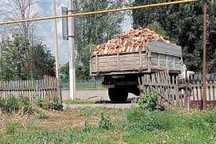 Продам дрова  метрові - рубані  (Акація - Дуб - Граб - Ясен)  8000\ЗІЛ