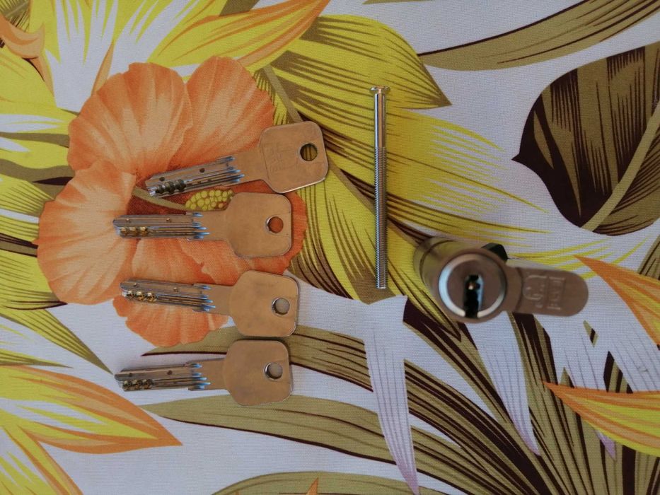 Cilindro de fechadura de segurança BASI