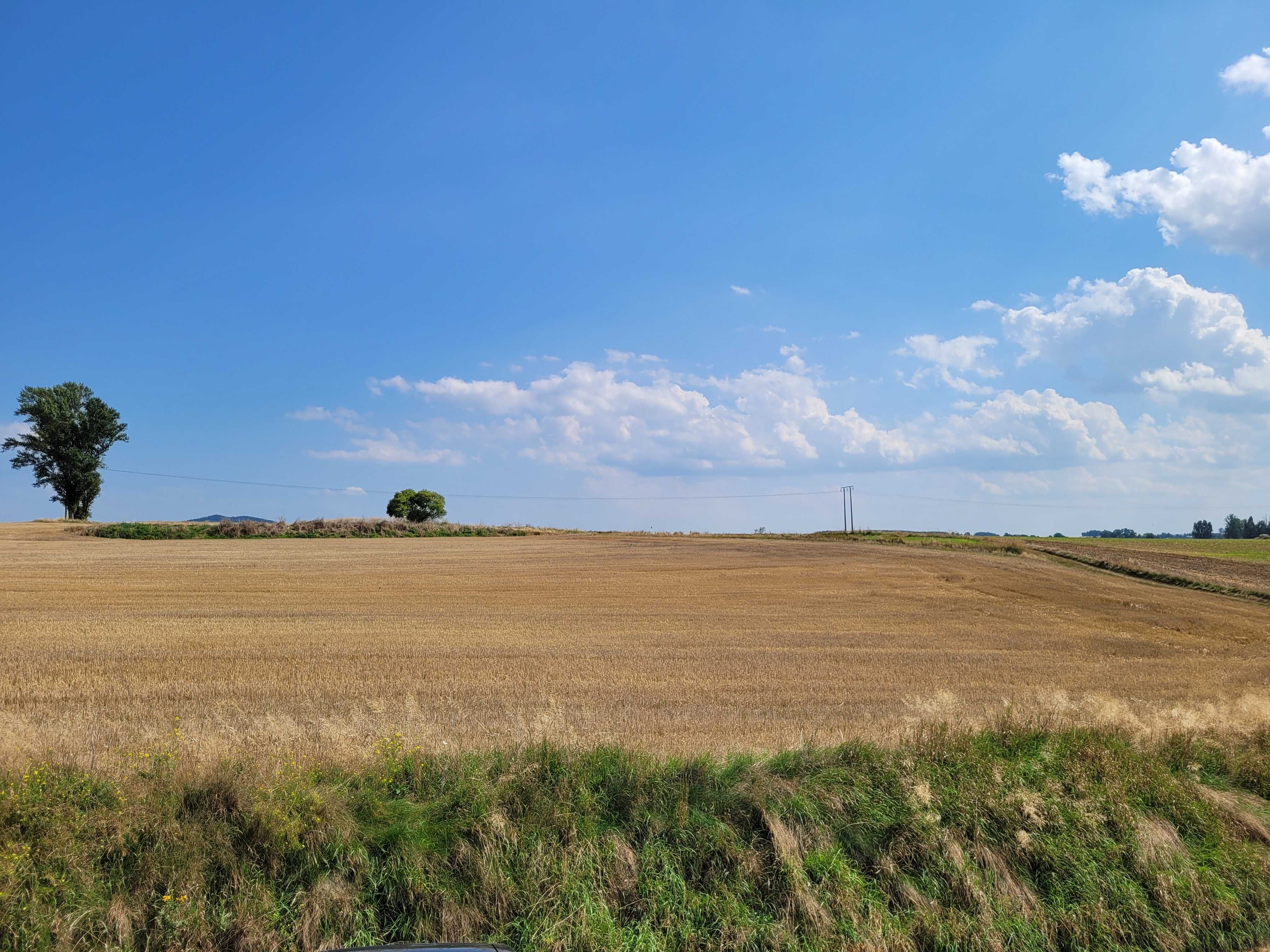 Działka budowlana Świdnica (Miłochów) /wszystkie media/ widok na Ślężę