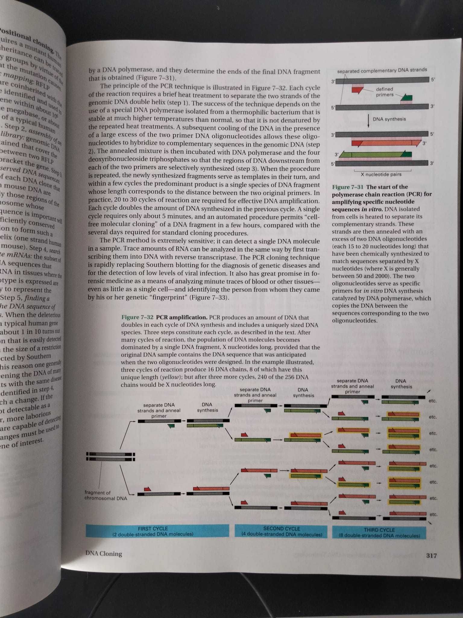 Molecular Biology of the Cell