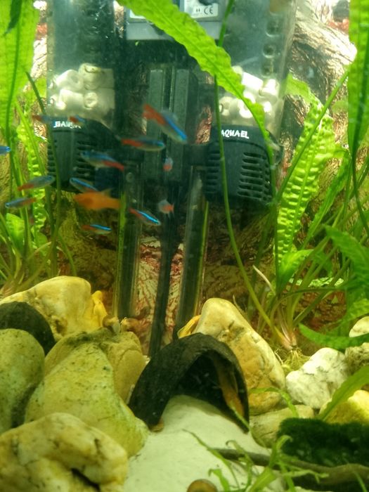 Akwarium 120l z takie jak na foto