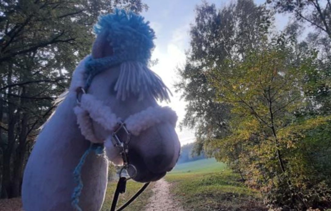 Hobby horse szary IGR CANDALIANO