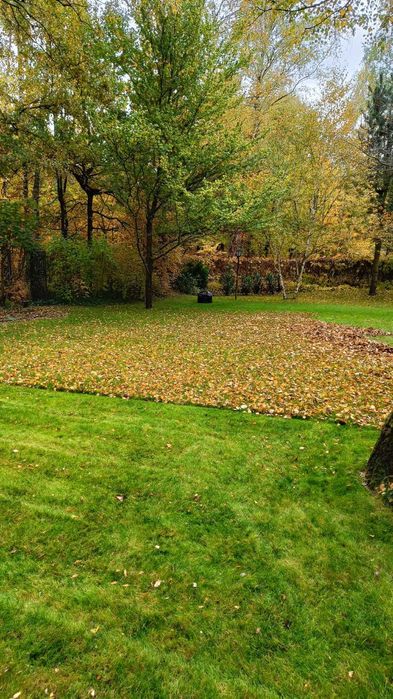 Usługi ogrodnicze,wolne terminy na listopad , jesienne porządki 2025