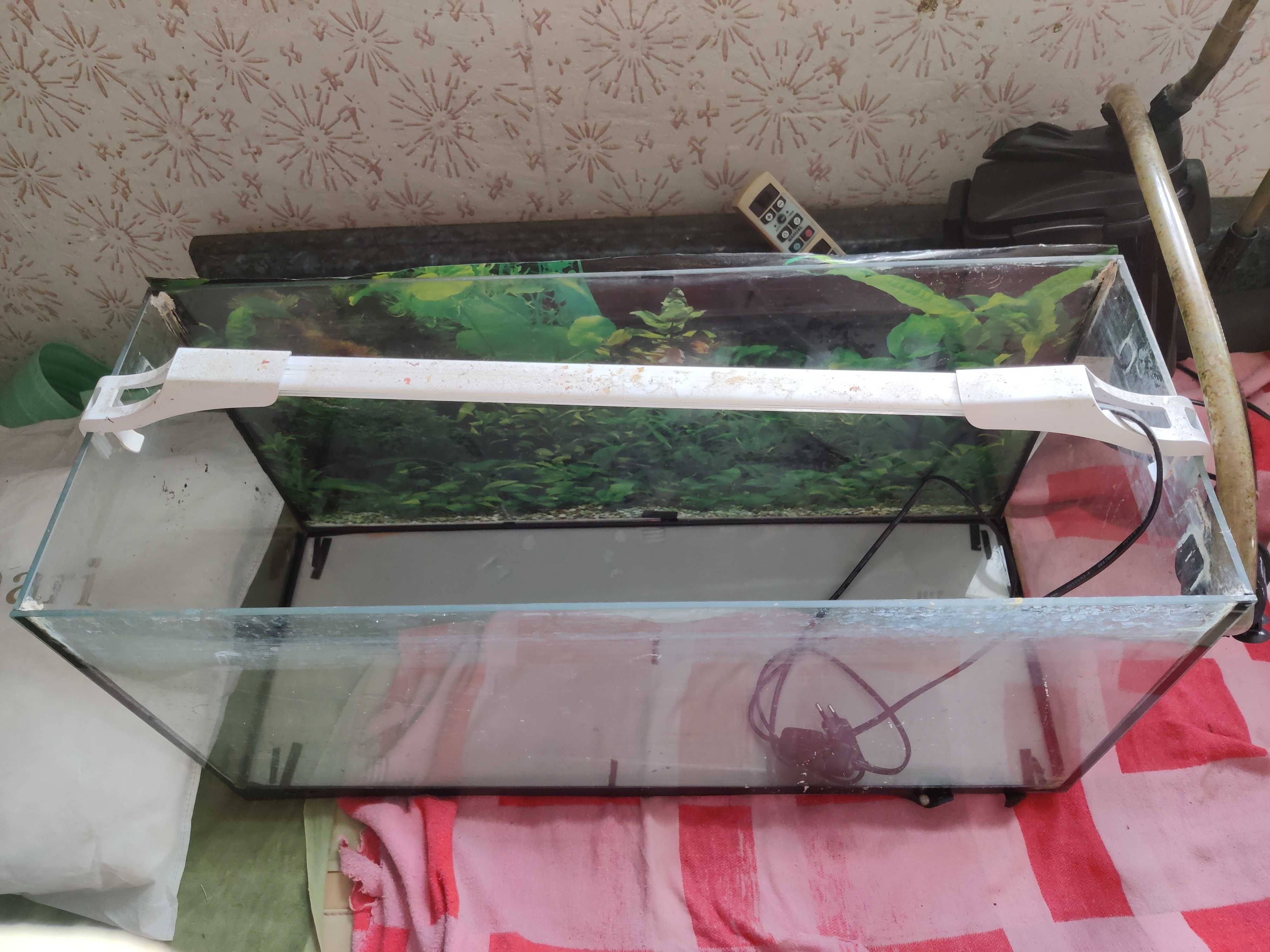 Akwarium, lampa, filtr
