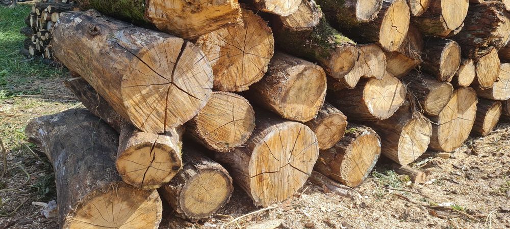 Drewno opałowe sezonowane