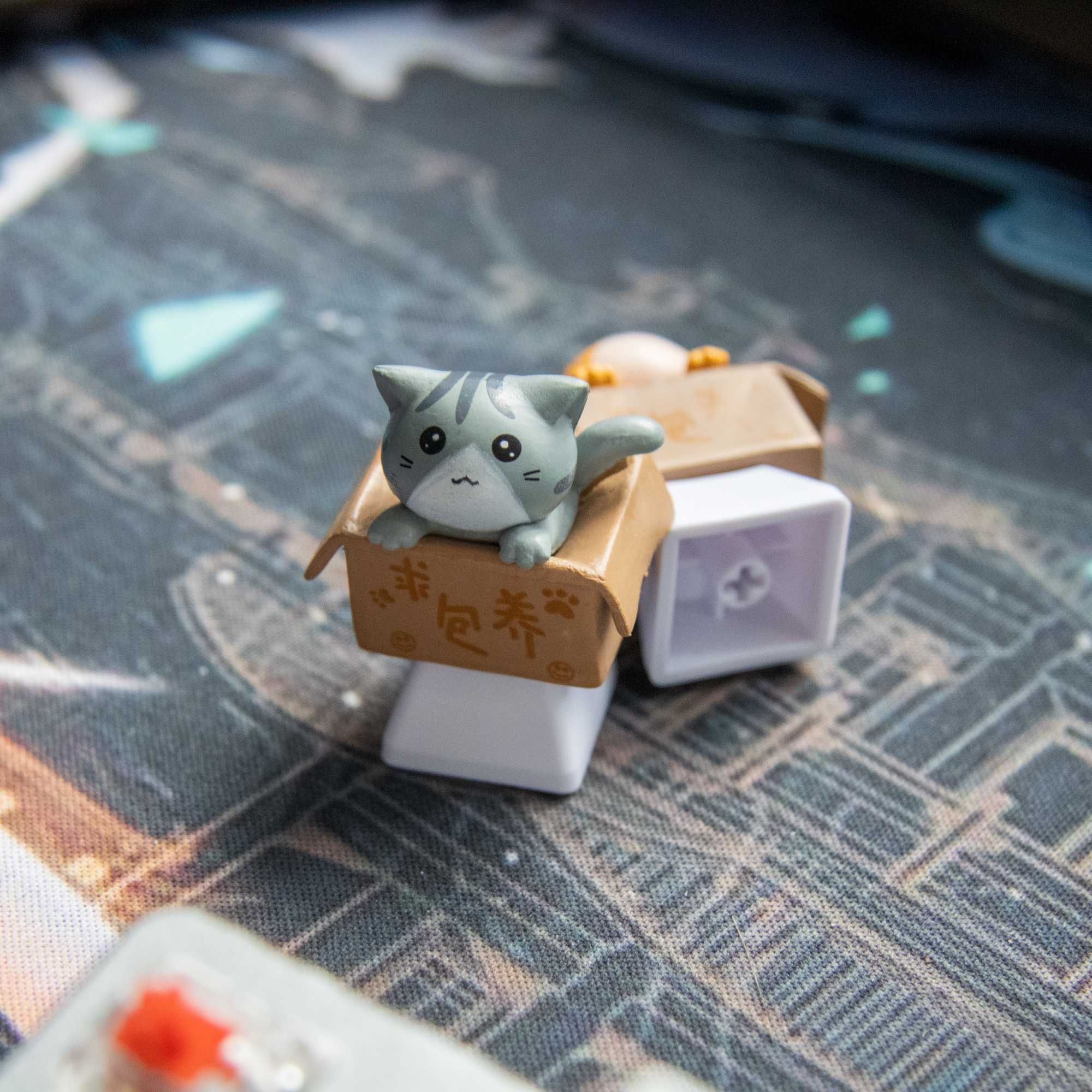 Кейкапи артисани кіт у коробці