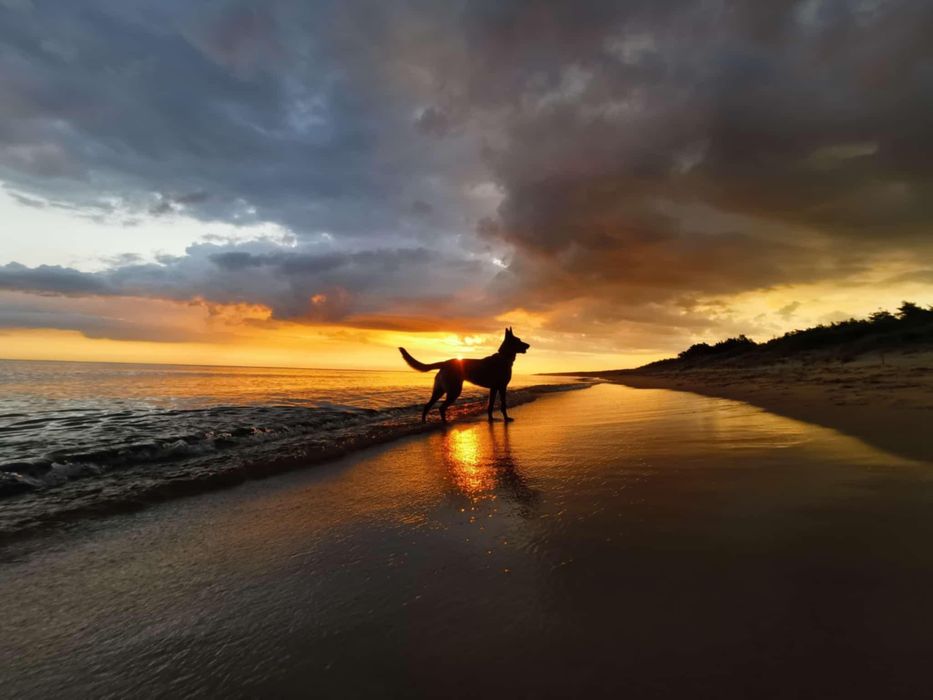 Domek Sierosław Zachodniopomorskie