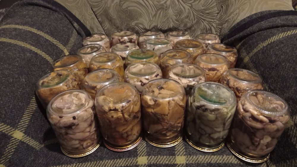 Домашние заготовки консервация 2025