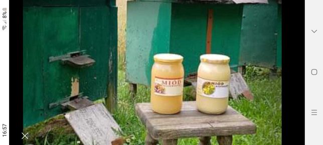 Miód pszczeli rzepakowy i wielokwiatowy