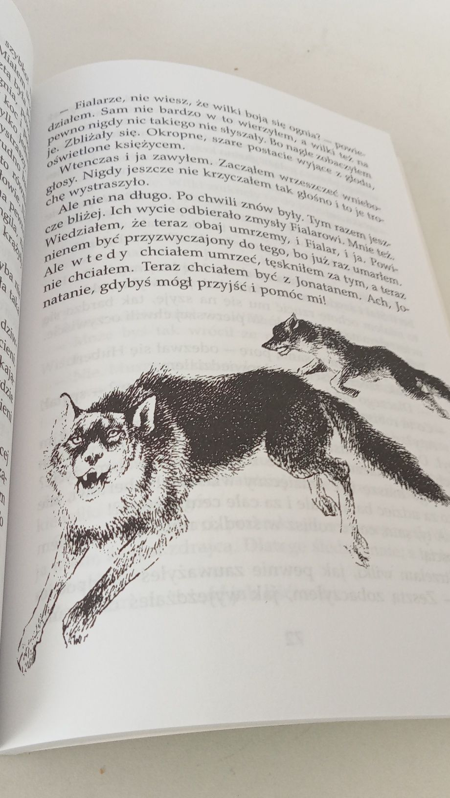 Bracia Lwie Serce Astrid Lindgren