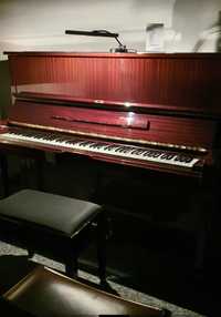 Pianino Yamaha U1 wynajem