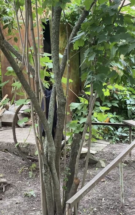 Ділянка 12,5 сот. м. Обухів, ж-м Лукавиця.