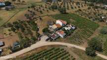 Terreno Agrícola com Olival  com 4500m2, Montemor-o-Novo