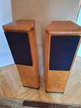 kolumny TANNOY D300
