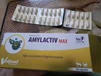 Amylactiv Max tabletki dla kota 29 sztuk