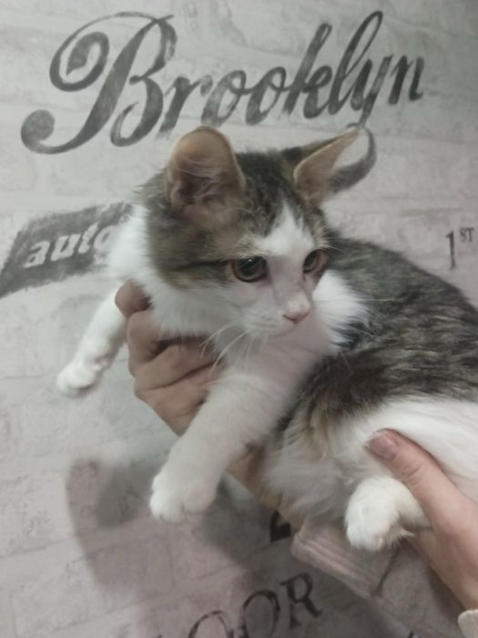 Безкоштовно хлопчик