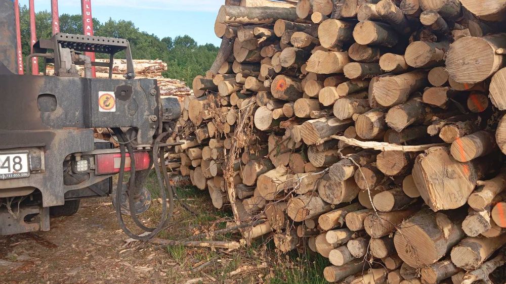 drewno, kłody opałowe liściaste